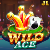 Wild Ace hot bingo game